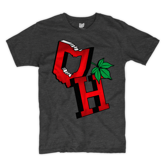 3D OH Charcoal T-shirt