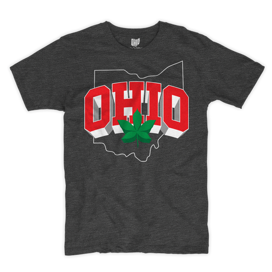 3D Ohio Charcoal T-shirt