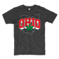 3D Ohio Charcoal T-shirt