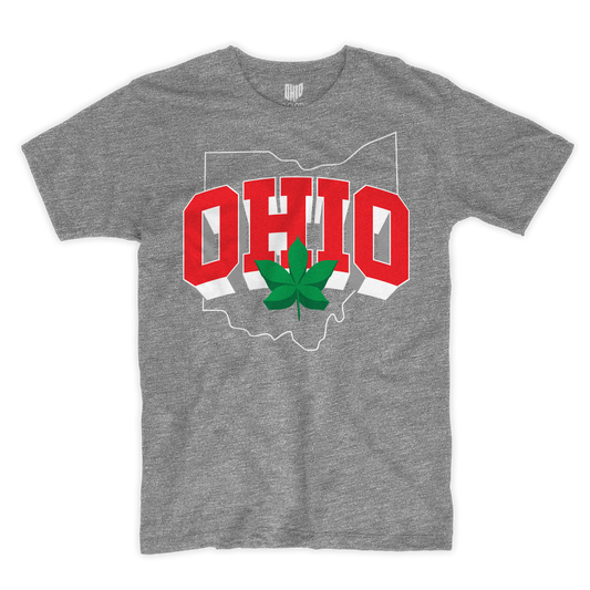 3D Ohio Gray T-shirt