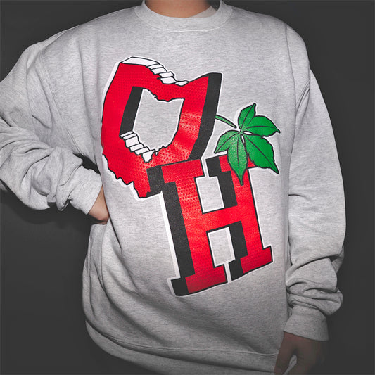 OH Ash Sweatshirt